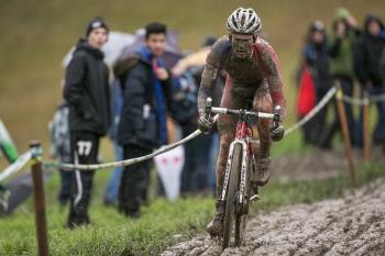 Illustration de la news