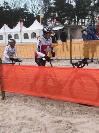 Illustration de la news