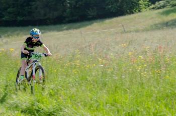 Illustration de la news