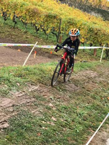 Illustration de la news